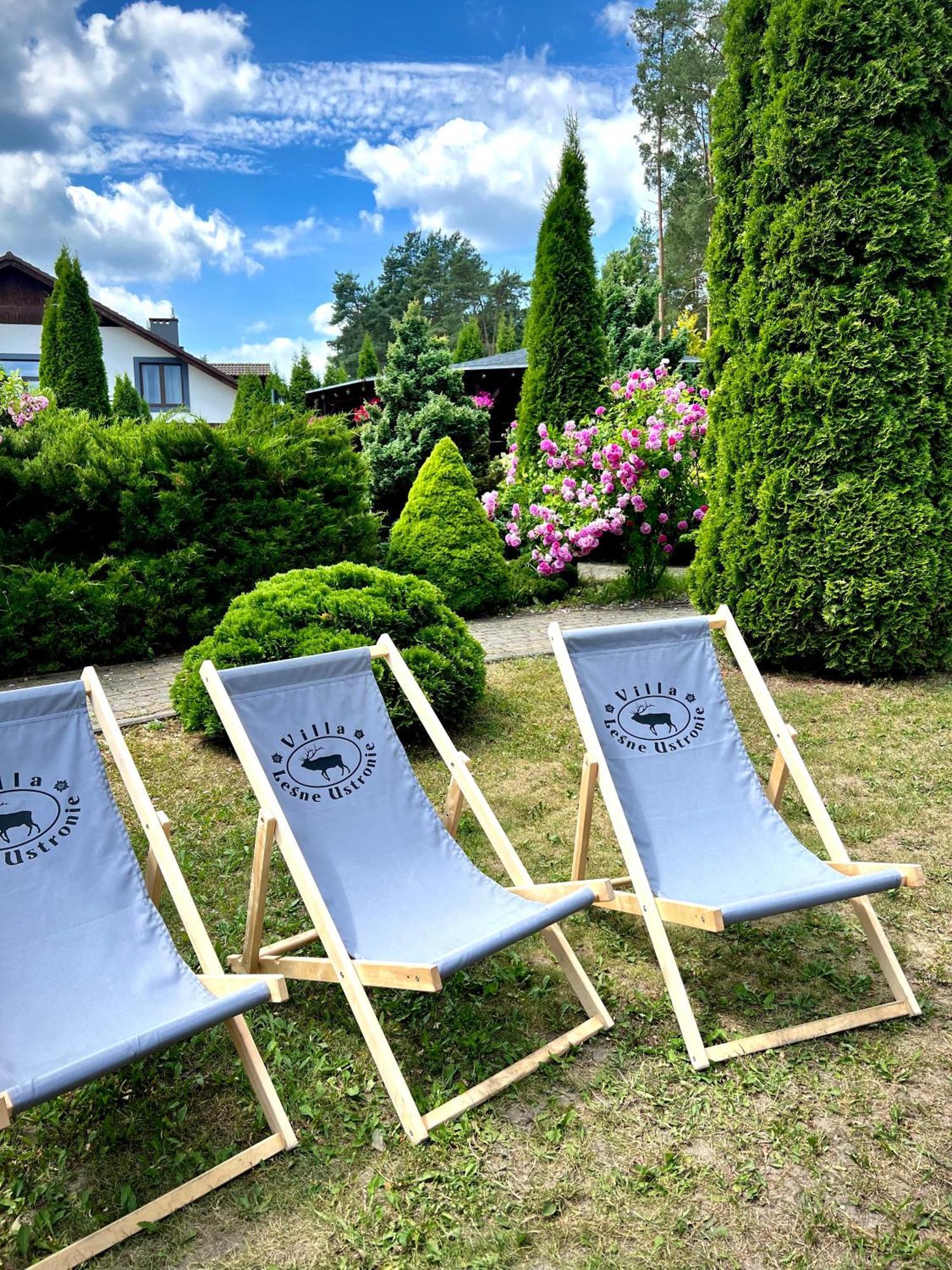 Lesne Ustronie Bed & Breakfast Lubiszewo