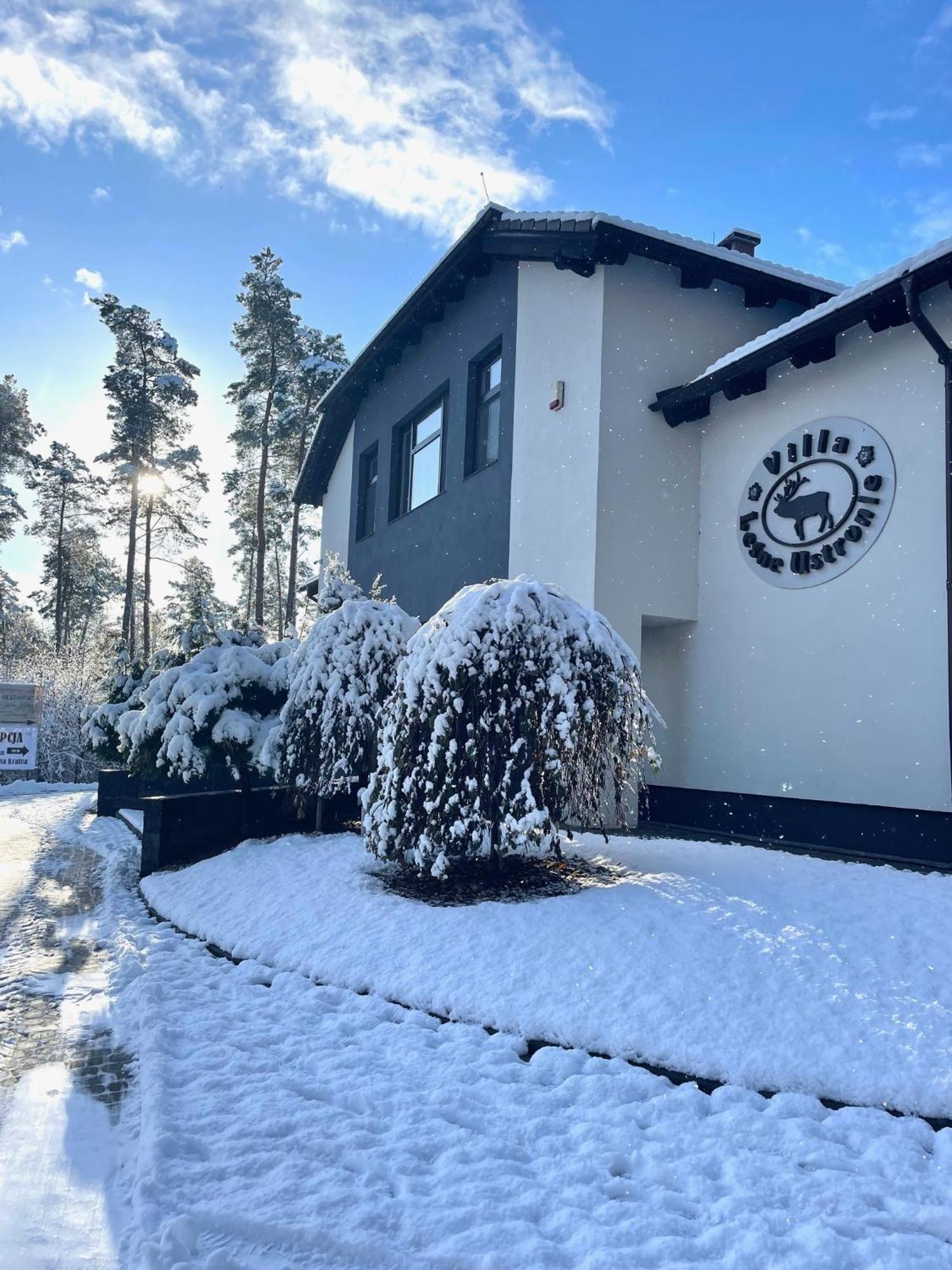Bed & Breakfast Lesne Ustronie